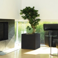 Pflanzkübel Esteras Telford Stone Black 50 